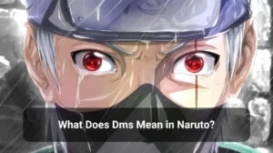 Read more about the article What Does DMS Mean in Naruto?