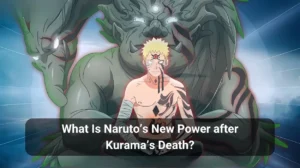 Read more about the article What Is Naruto’s New Power after Kurama’s Death?