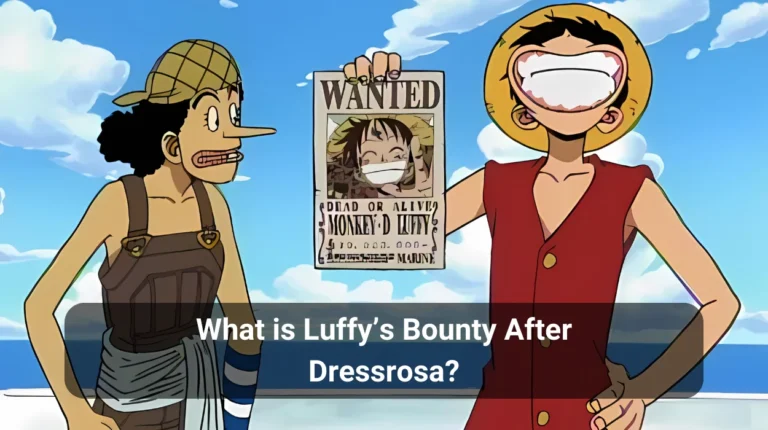 What is Luffy’s Bounty After Dressrosa?